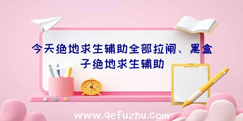 今天绝地求生辅助全部拉闸、黑盒子绝地求生辅助