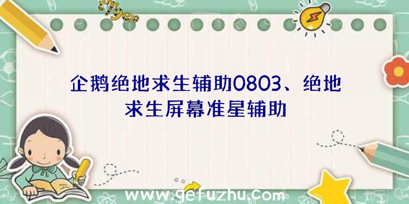 企鹅绝地求生辅助0803、绝地求生屏幕准星辅助