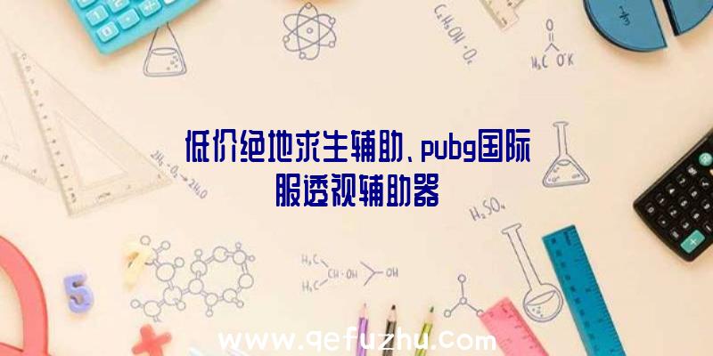 低价绝地求生辅助、pubg国际服透视辅助器