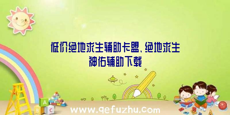 低价绝地求生辅助卡盟、绝地求生神佑辅助下载