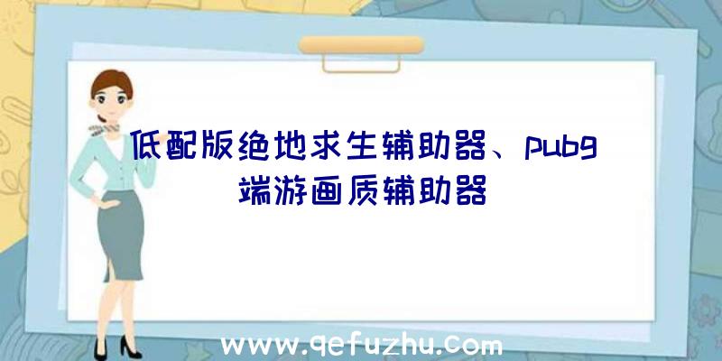 低配版绝地求生辅助器、pubg端游画质辅助器