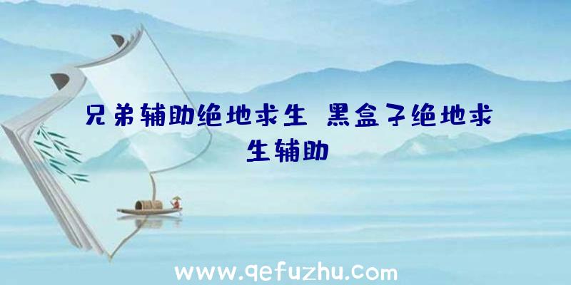 兄弟辅助绝地求生、黑盒子绝地求生辅助