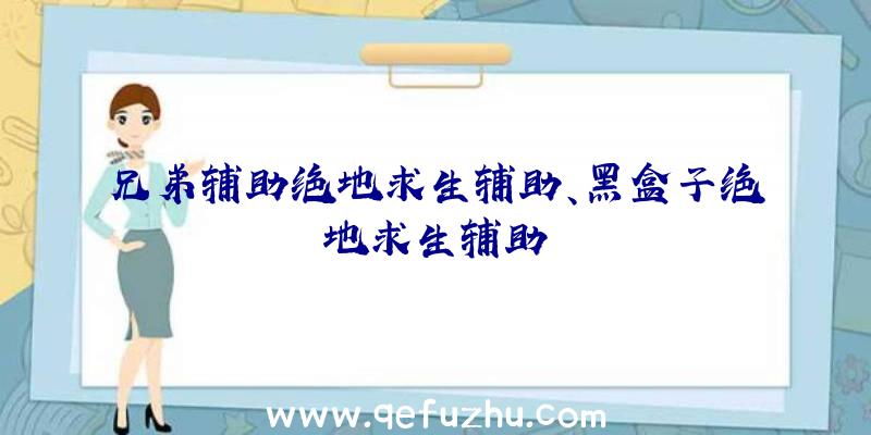 兄弟辅助绝地求生辅助、黑盒子绝地求生辅助