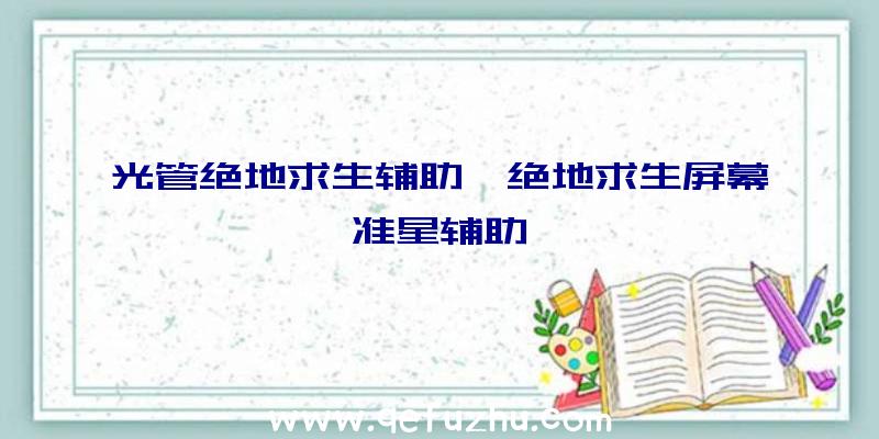 光管绝地求生辅助、绝地求生屏幕准星辅助