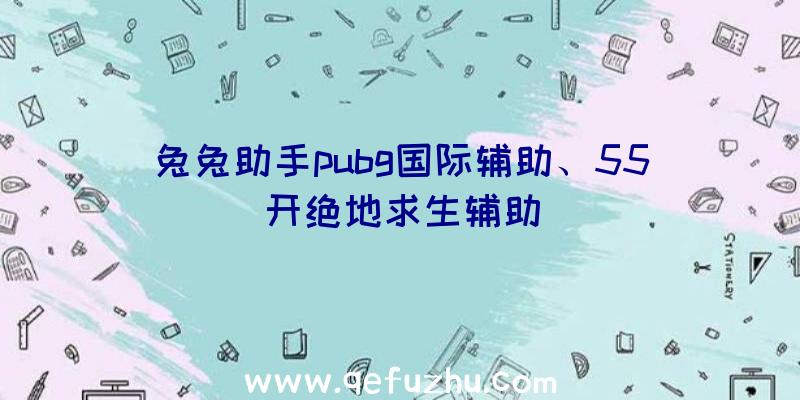 兔兔助手pubg国际辅助、55开绝地求生辅助