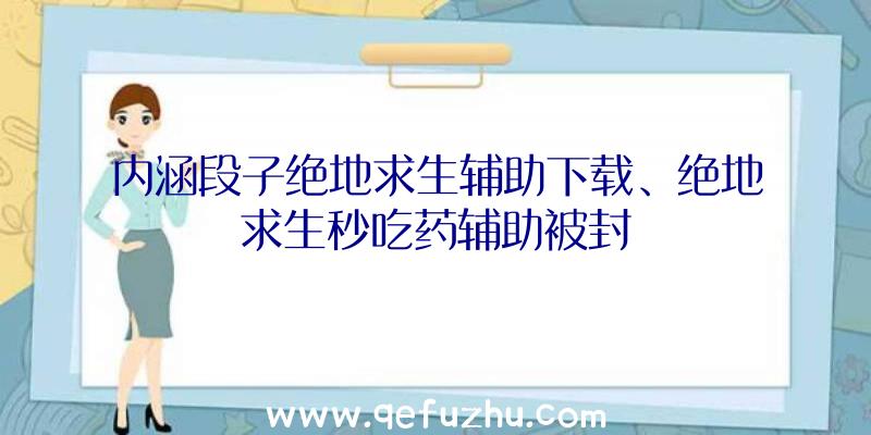 内涵段子绝地求生辅助下载、绝地求生秒吃药辅助被封