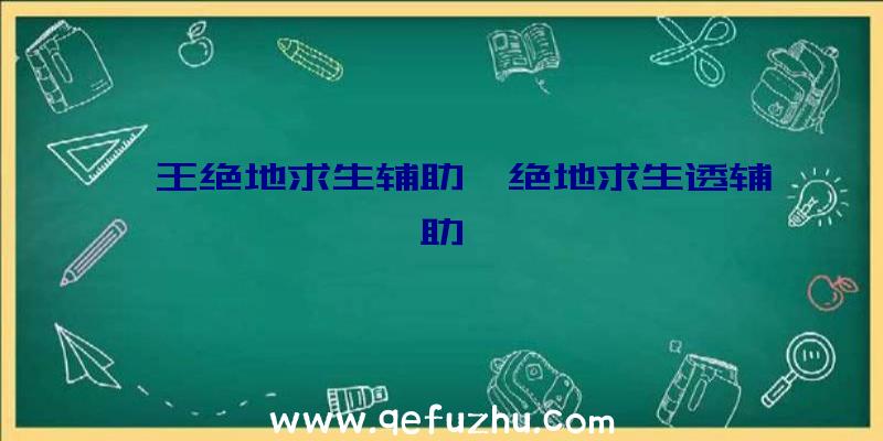 冥王绝地求生辅助、绝地求生透辅助