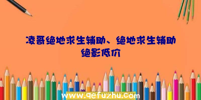 凌哥绝地求生辅助、绝地求生辅助绝影低价