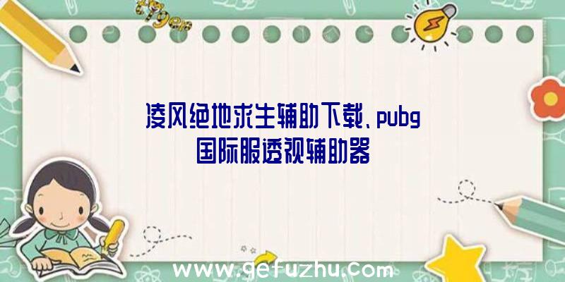 凌风绝地求生辅助下载、pubg国际服透视辅助器