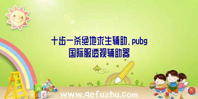 十步一杀绝地求生辅助、pubg国际服透视辅助器