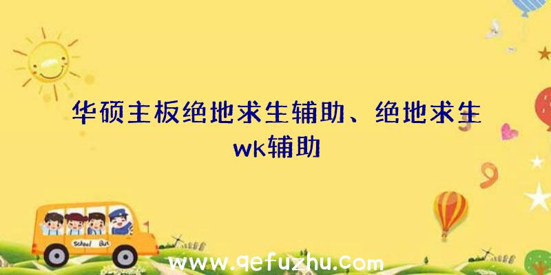 华硕主板绝地求生辅助、绝地求生wk辅助