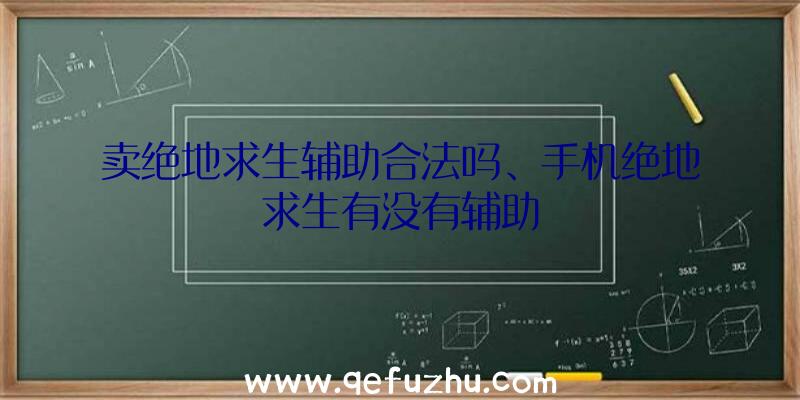 卖绝地求生辅助合法吗、手机绝地求生有没有辅助