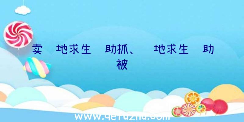 卖绝地求生辅助抓、绝地求生辅助被骗