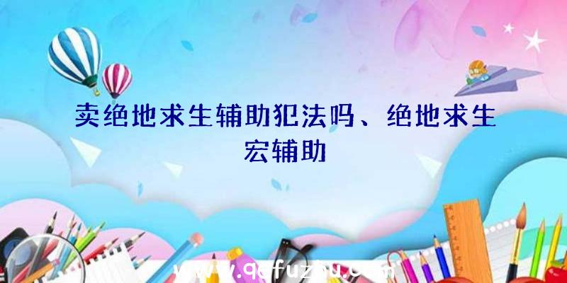 卖绝地求生辅助犯法吗、绝地求生宏辅助