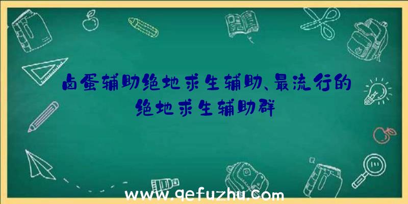 卤蛋辅助绝地求生辅助、最流行的绝地求生辅助群