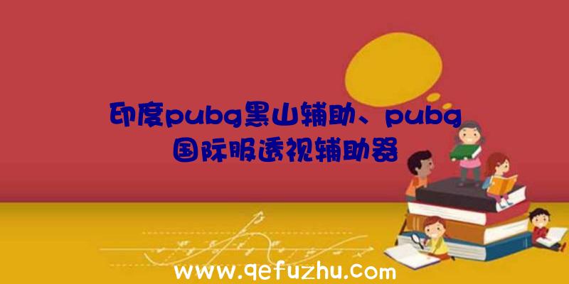 印度pubg黑山辅助、pubg国际服透视辅助器