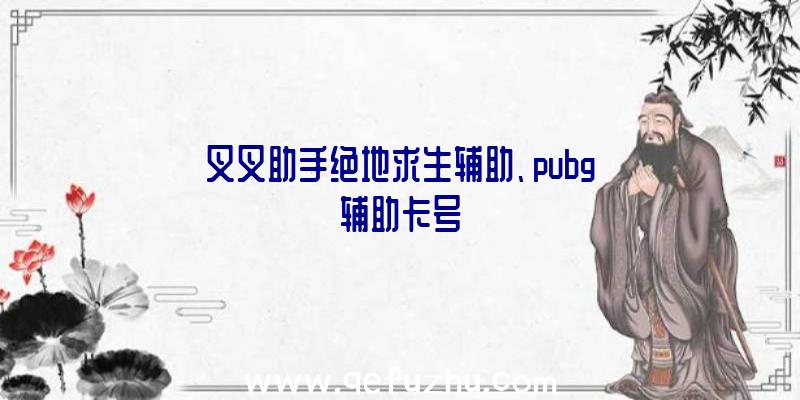 叉叉助手绝地求生辅助、pubg辅助卡号