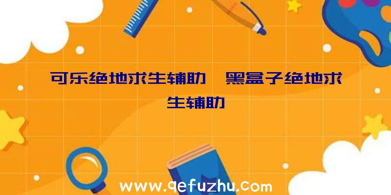 可乐绝地求生辅助、黑盒子绝地求生辅助