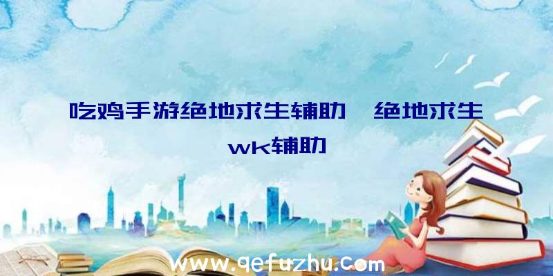 吃鸡手游绝地求生辅助、绝地求生wk辅助