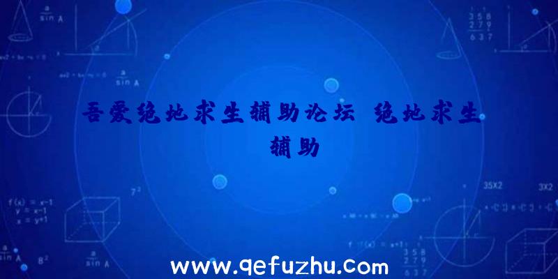 吾爱绝地求生辅助论坛、绝地求生wk辅助