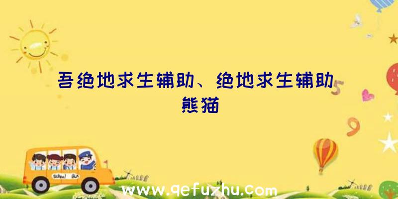 吾绝地求生辅助、绝地求生辅助