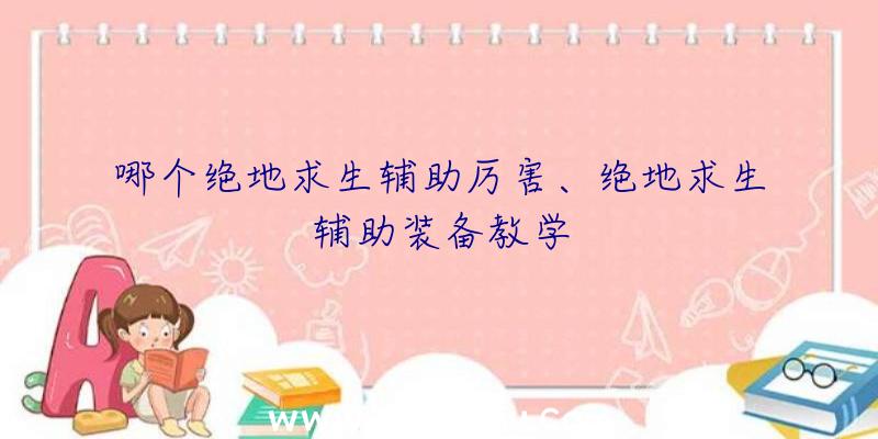 哪个绝地求生辅助厉害、绝地求生辅助装备教学