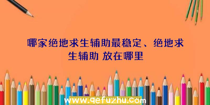 哪家绝地求生辅助最稳定、绝地求生辅助