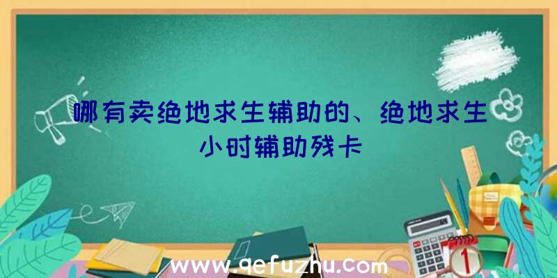 哪有卖绝地求生辅助的、绝地求生小时辅助残卡