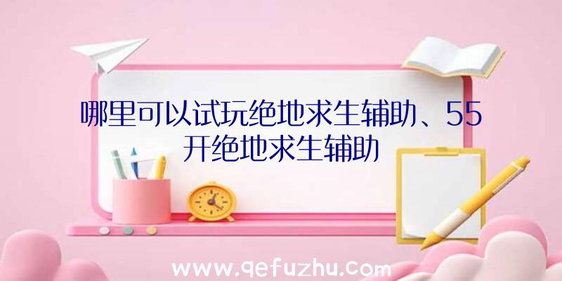 哪里可以试玩绝地求生辅助、55开绝地求生辅助