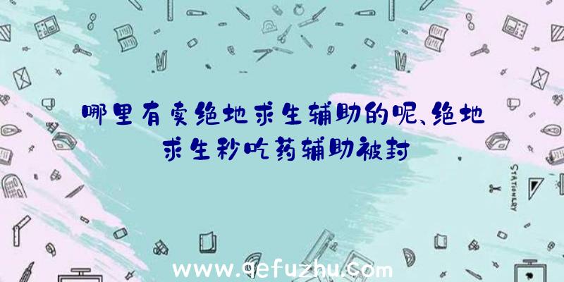 哪里有卖绝地求生辅助的呢、绝地求生秒吃药辅助被封