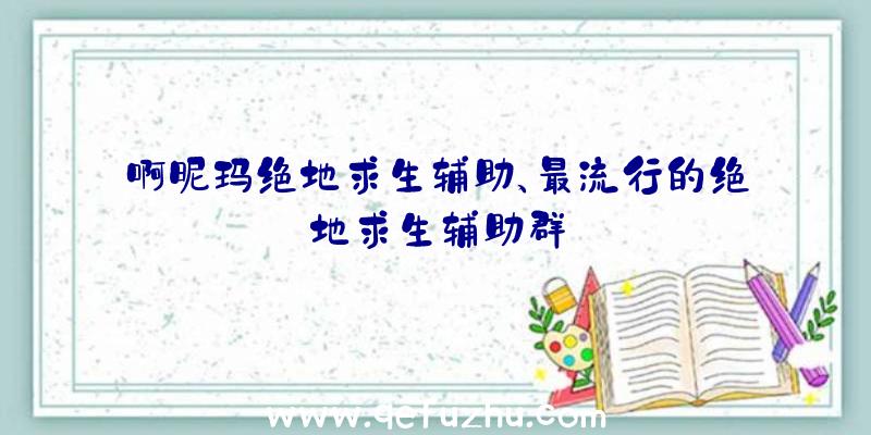 啊昵玛绝地求生辅助、最流行的绝地求生辅助群