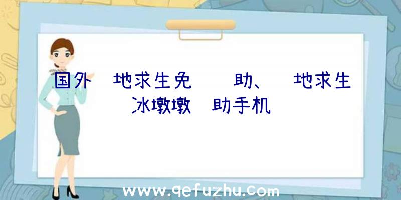 国外绝地求生免费辅助、绝地求生冰墩墩辅助手机