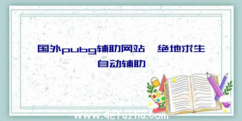 国外pubg辅助网站、绝地求生自动辅助