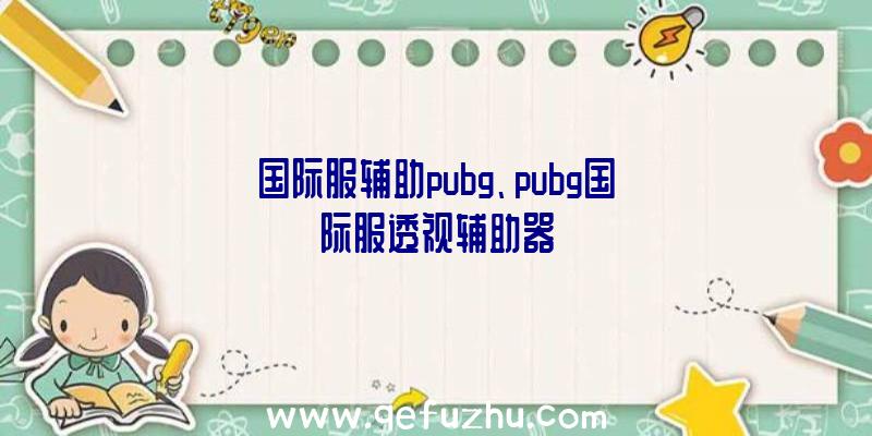 国际服辅助pubg、pubg国际服透视辅助器