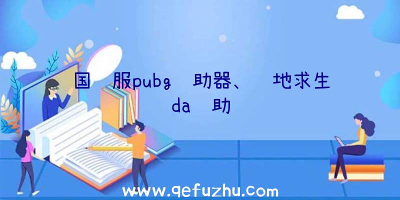 国际服pubg辅助器、绝地求生da辅助