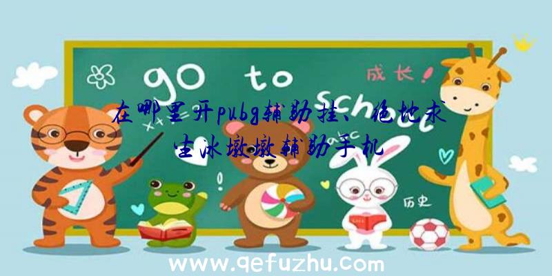 在哪里开pubg辅助挂、绝地求生冰墩墩辅助手机