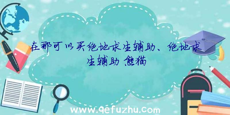 在那可以买绝地求生辅助、绝地求生辅助