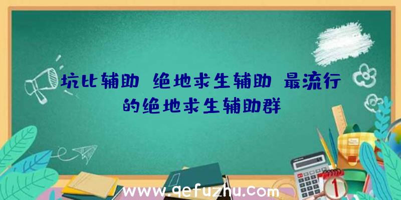 坑比辅助+绝地求生辅助、最流行的绝地求生辅助群