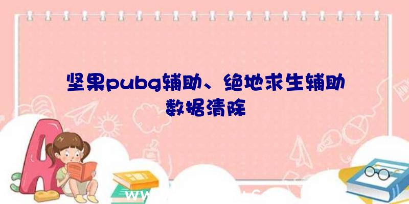 坚果pubg辅助、绝地求生辅助数据清除