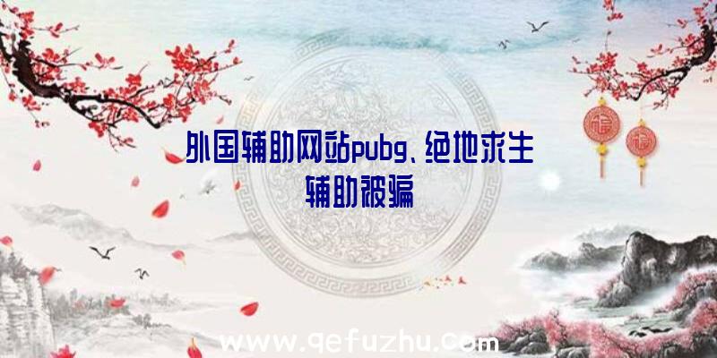 外国辅助网站pubg、绝地求生辅助被骗