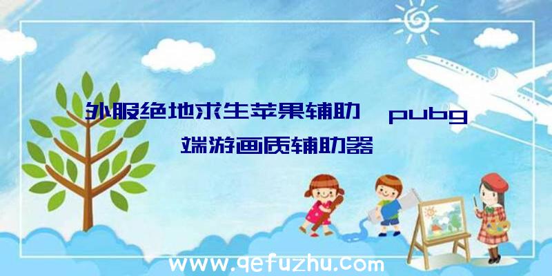 外服绝地求生苹果辅助、pubg端游画质辅助器