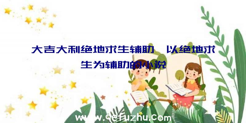 大吉大利绝地求生辅助、以绝地求生为辅助的小说