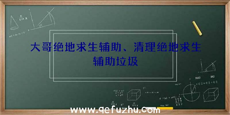 大哥绝地求生辅助、清理绝地求生辅助垃圾