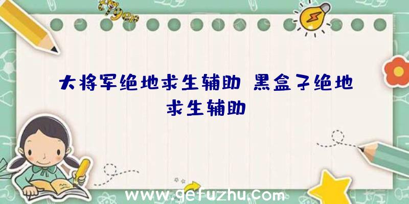 大将军绝地求生辅助、黑盒子绝地求生辅助