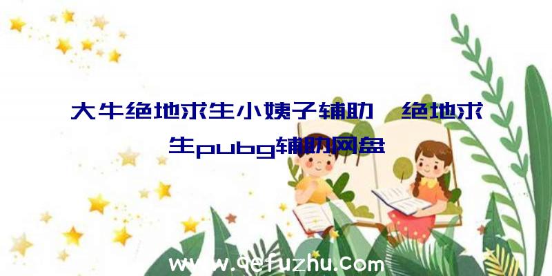 大牛绝地求生小姨子辅助、绝地求生pubg辅助网盘