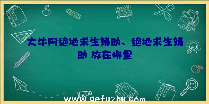 大牛网绝地求生辅助、绝地求生辅助