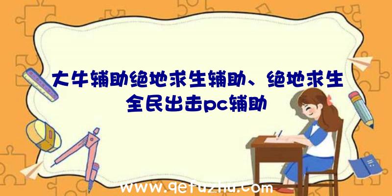 大牛辅助绝地求生辅助、绝地求生全民出击pc辅助