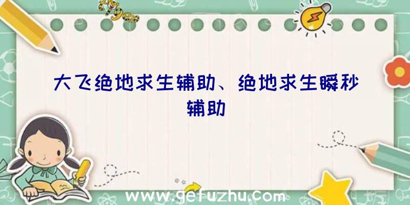 大飞绝地求生辅助、绝地求生瞬秒辅助