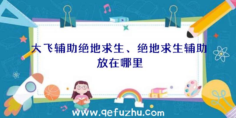 大飞辅助绝地求生、绝地求生辅助