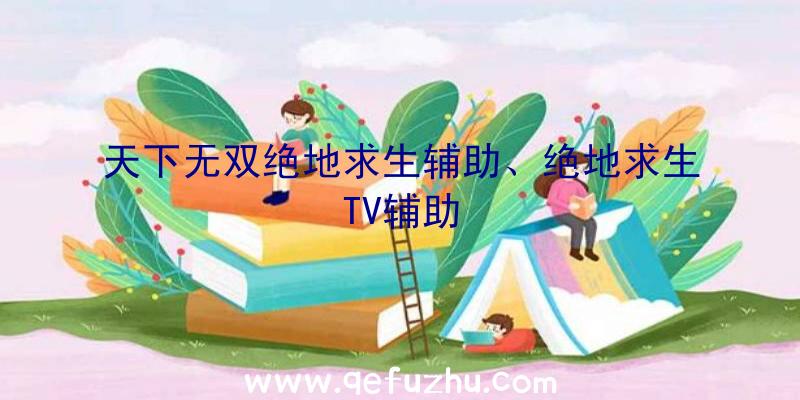 天下无双绝地求生辅助、绝地求生TV辅助